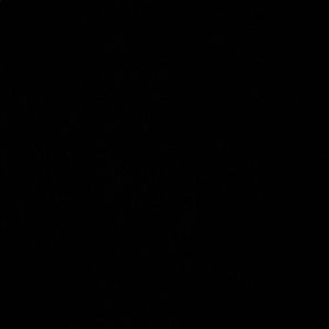 Meet your Posher, Lucy